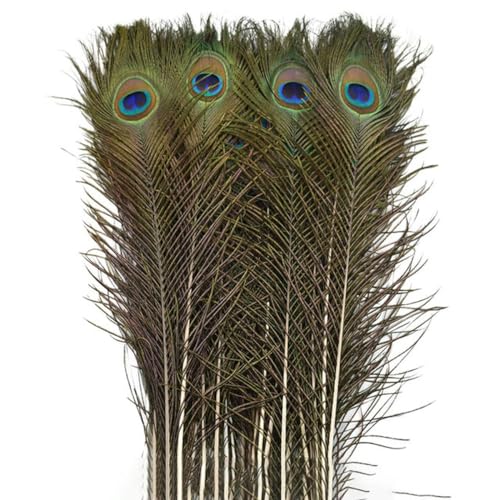 10 Stück/Lot natürliche echte Pfauenfedern für Dekoration Schwertfedern Kunsthandwerk lange Federn Heimdekoration Karneval Hochzeit Zubehör 4045 cm 1618 Zoll