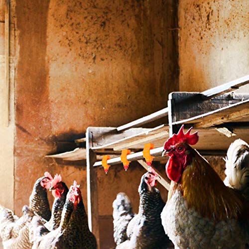 Yarnow – Alimentador automático de frango, 20 peças, alimentador de mamadeiras, pombo, galinha, para