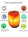 AMOYSTONE Medium Aromatherapy Salt Lamp with Essential Oil Tray, Hand Carved Himalayan Rock for Desk Decor(4-6 lbs)