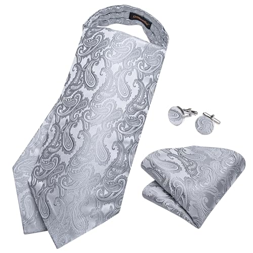 Image of DiBanGu Mens Silk Ascot Ties Paisley Jacquard Woven Cravat and Pocket Square Cufflinks with Lapel Pin for Business Wedding
