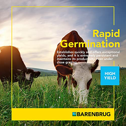 Barenbrug Beefmaster Premium Cattle Pasture Grass And Forage Seed Mix, 25 Lbs. (25 Lb Bag) #TOP2