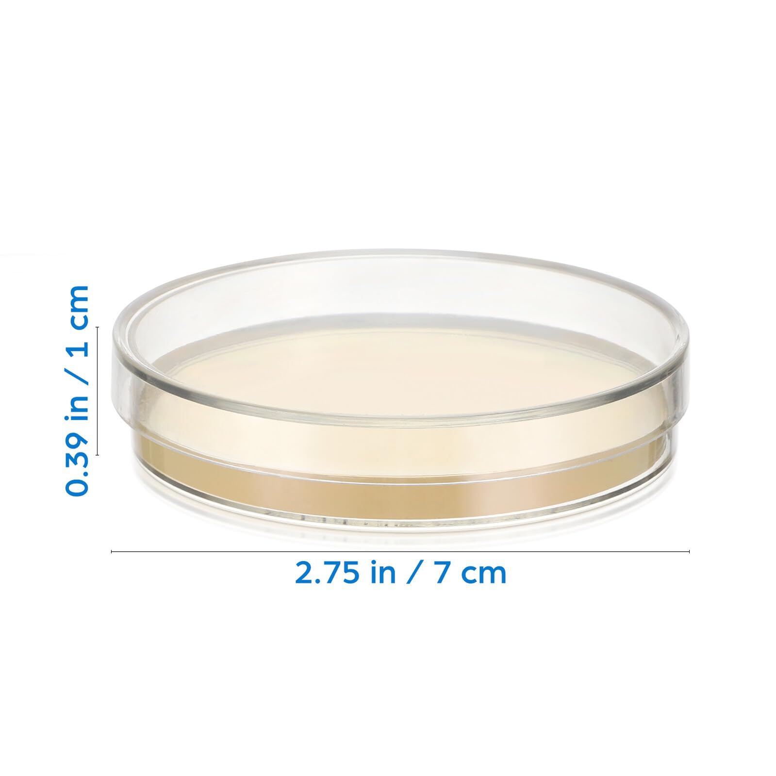 Piastre Petri con Agar Preversato 7cm, 20 Pezzi per Laboratorio | Materiale Agar, Scenari di Coltivazione e Ricerca, Formato Pronto All’uso, Confezione da 20 Pezzi