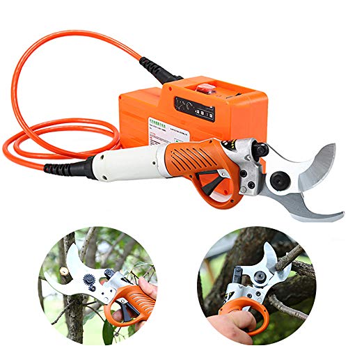 KTops Electric Pruning Shears for Branches, Professional Electric Pruning Shears, Rechargeable Scissors Electric Cutting Tool Garden Fruit Tree Grafting Shears Tools