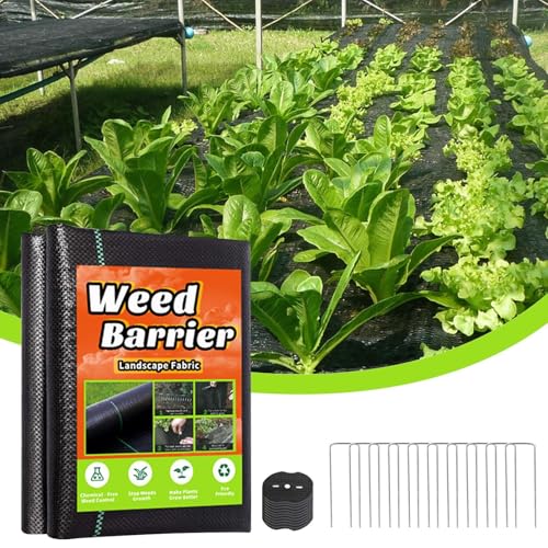 Bâche de contrôle de jardin extérieure anti-herbe avec fixations
