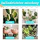 500g 9-12mm Trommelsteine Bring Eine Tasche Mit Aquarium Succulents Mini Landscapes Mini Aquariums Vase Fillers Edelsteine Kinder Steine,Edelsteine für Kinder Verwendet für Spiele und Dekorationen
