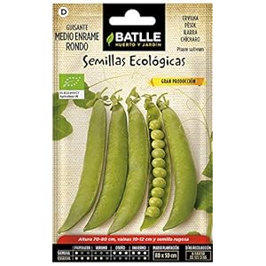 Bio zaden – erwten halve rankig rondo (36-48 zaden – biologisch)