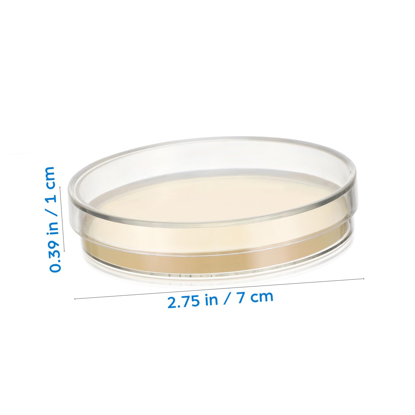 20 Vorgegossene Agarplatten 7cm für Schule und Labor, Nährmedium