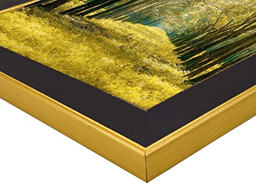 Space Art Deco, 11X17 Classics Gold Design Black Picture Frame - Photo/Picture/Poster Display - Sawtooth Hangers And Wall Mount Shatter-Resistant Grass (11X17, Classic Gold Design) #TOP2