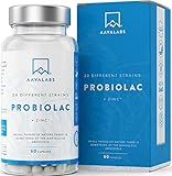 Probiótico [ 50 mil millones de UFC ] 20x Cepas bacterianas (Incl. Acidophilus & Bifidobacterium) + Inulina por dosis - Zinc agregado para apoyo inmunológico - 60 Cápsulas