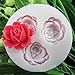 SPHTOEO 2PCS 3d Rose Flowers Fondant Cake Cookie Chocolate Soap Mold Cutter Modelling Tools DIY Jelly Pudding Decorating Mold Tray