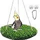 Niwugady Vogelschaukel Sitzstange, Vogelgrasschaukelmatte Papageienkäfig Hängematte mit verstellbarem Seil, Haken und Grasmatte Vogelfutterspielzeug für Nymphensittiche, Wellensittiche, Rund