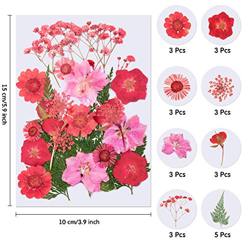 image for WILLBOND 126 Pieces Dried Pressed Flowers Natural Dried Flowers Colorf