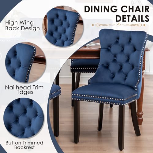 Image of Velvet Dining Chairs, Tufted Kitchen & Dining Room Chairs, Blue, Set of 2