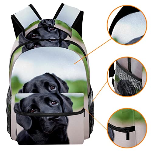Mochila para perro multifuncional y escolar universitaria de gran capacidad 3