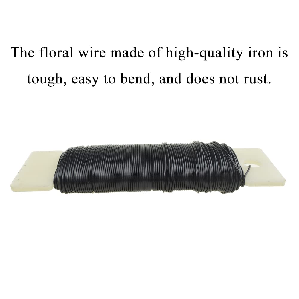 https://m.media-amazon.com/images/I/51Q13sNNKNL.jpg