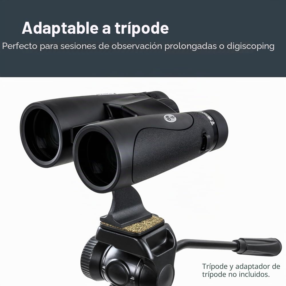 Celestron 72336 Nature DX ED 12x50: prismáticos con lentes objetivo con dispersión baja, exteriores y aves, revestimiento múltiple completo y prismas BaK-4, carcasa revestida resistente al agua y vaho