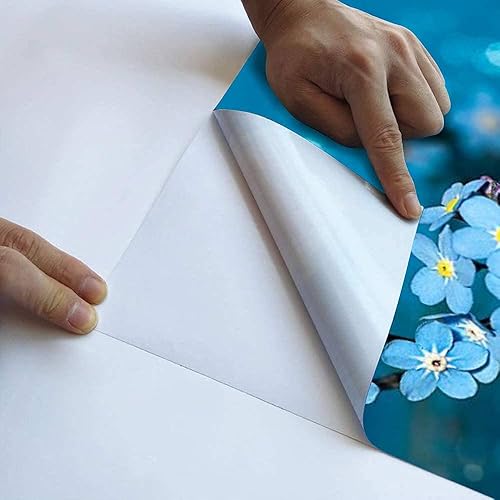 Miniatura 6 de Papel tapiz moderno 3D Forget me not Flowers on a Blue Background Pegatinas de pared para pegar y despegar, papel mural extraíble para sala de