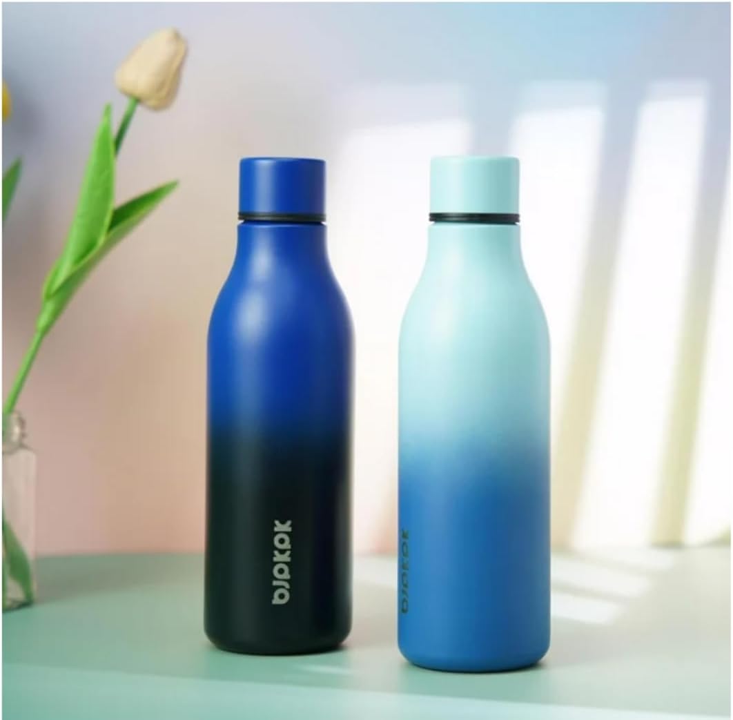 Insulated Stainless Steel Water Bottle with Strap, 18oz – Sky