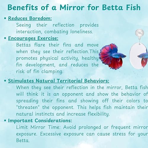 Image of 2 pcs Betta Ring Enrichment Toys with 1 pcs Betta Mirror, Exercise Training Ring and Floating Mirror for Fish Tank, Aquarium Feeding Rings with Floating Mirrors, Fish Toys, Bettas Toy (Teal, M-70mm)