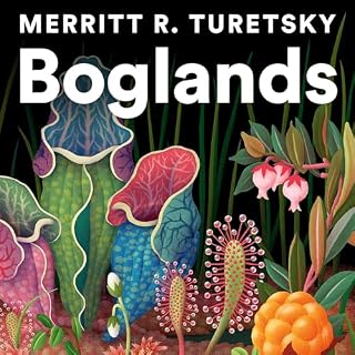 Boglands cover art