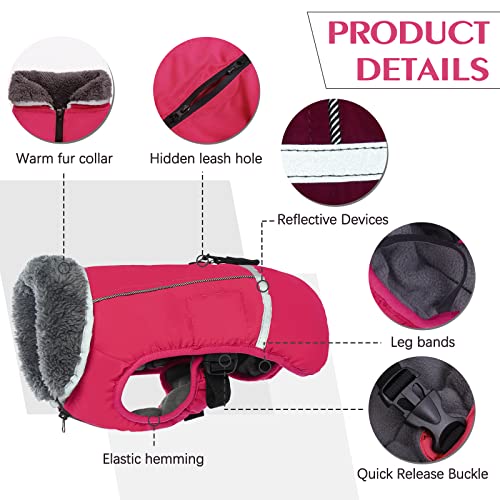 Image of QBLEEV Warm Dog Coat, Reflective Dog Jacket, Waterproof Dogs Winter Coat