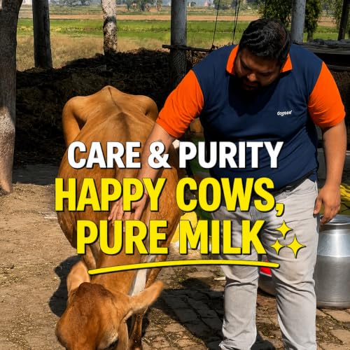 Image of Doodhvale Farms A2 Cow Ghee 330ml(Pack of 2) | Vedic Desi Gir Cow Ghee | Bilona Method | Grass Fed | 100% Pure & Preservative Free | Traditionally Churned Danedar Ghee | Non-GMO | Lab Certified | Glass Bottle