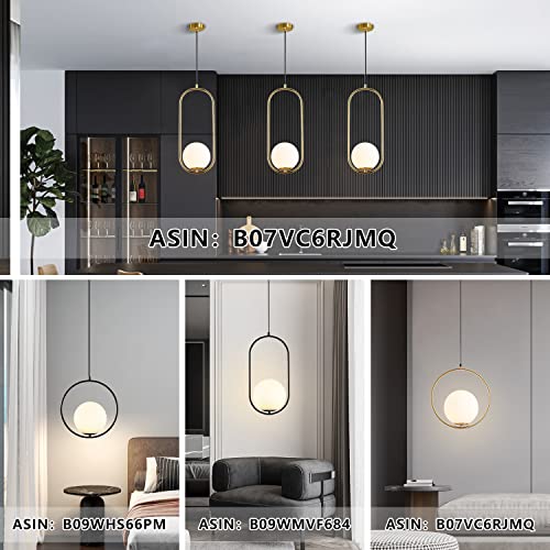 Lámpara de techo minimalista de una luz con globo de cristal para comedor moderno 7
