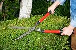 Corona HS 3950 Hedge Shear with Extendable Steel Handles, 10-Inch Blade