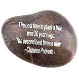 Holy Land Market Engraved Inspirational Stones collection - Stone V : THE BEST TIME TO PLANT A TREE...