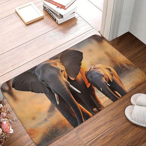 BTCOWZRV �h�A�}�b�g �m���X���b�v�t�����g�h�A�}�b�g ���փE�F���J���}�b�g ���킢���ۂ̐Ԃ����ƃ}�}�̃h�A�}�b�g �􂦂�t���A�}�b�g �L�b�`�����O �z�����o�X�}�b�g �Q�� �o�X���[�� �L�b�`���p 16�C���` x 24�C���`