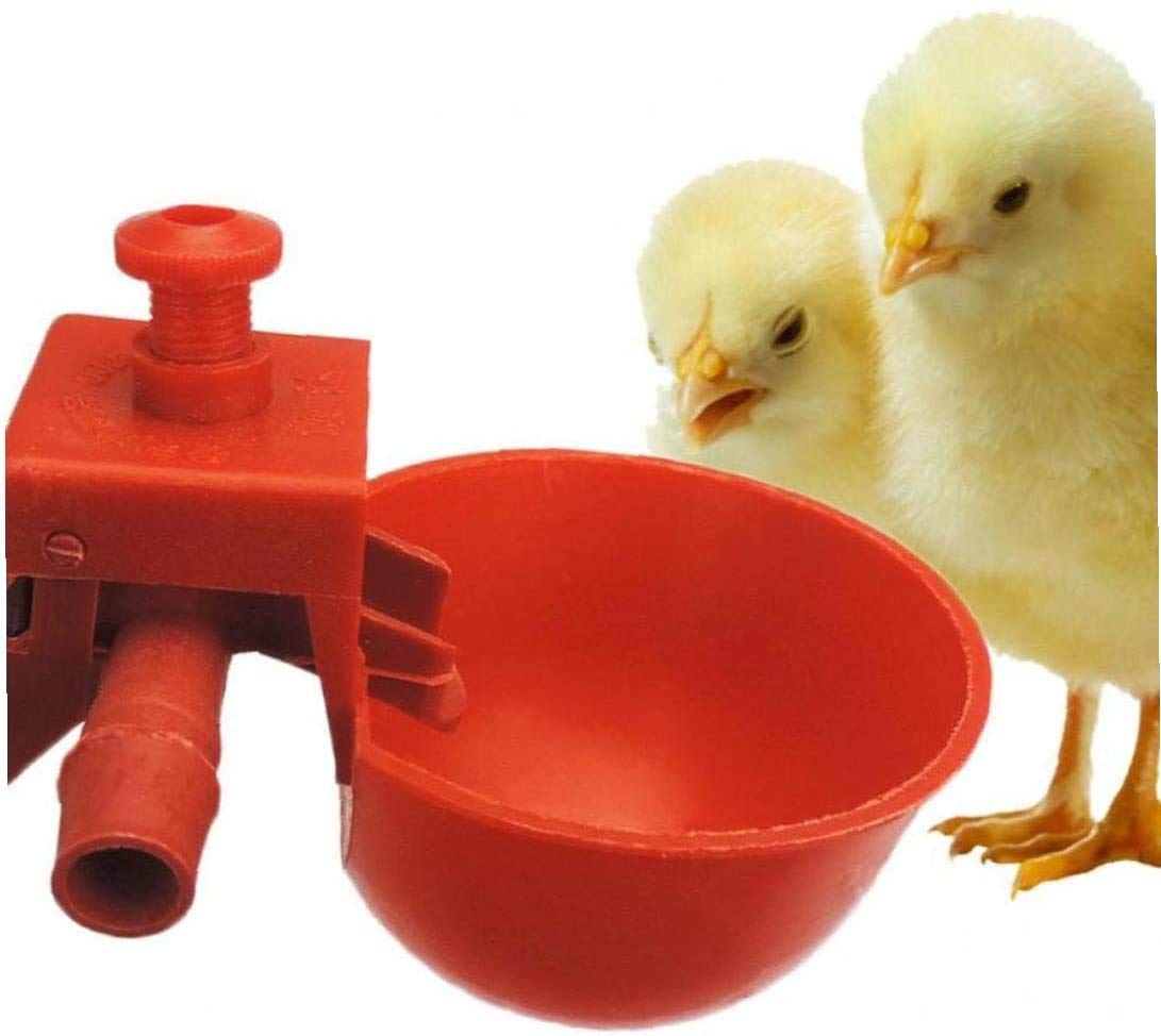 10set Poulet Abreuvoir Poules Quail Oiseaux d'eau Abreuvoir pour Poulailler Chick Buveurs Ferme Avicole Animaux Sauv