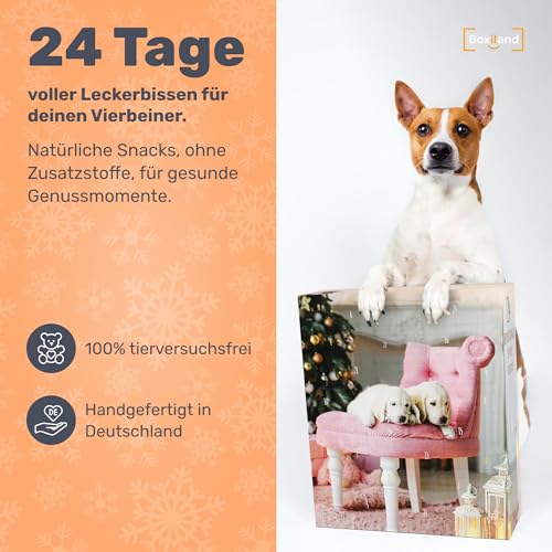 BOXILAND® Hunde Adventskalender 2025 [MIT 24 LECKERLIES] – Weihnachtskalender Geschenk – Geschenkidee Hunde (Hergestellt in DE)