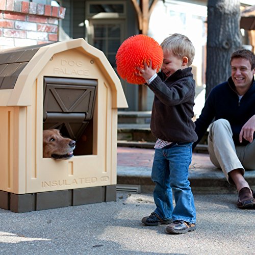 The Best Heated Dog House 2021 Reviews Outsider Gear