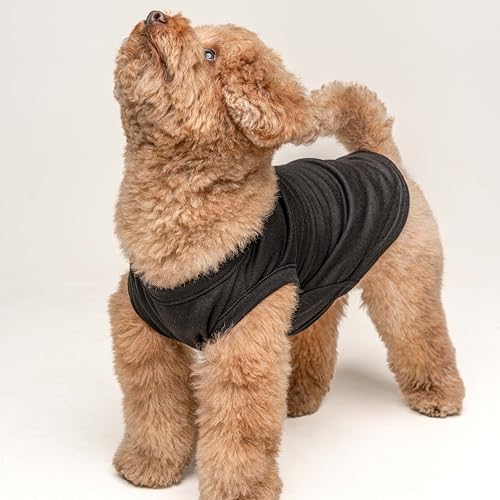 Disfraz Zombie Hunter para Perros en Talla 6X-Large miniatura 2