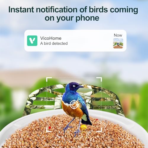 Dct Q8 BIRD FEEDER WITH CAMERA WIFI Smart Bird Feeder With Camera Solar Powered: 1080P Hd Ai Identify 11,000+ Bird Species thumb #3