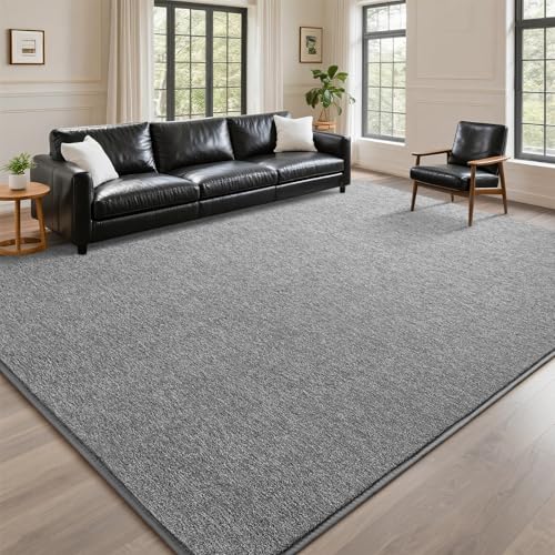 DweIke Rugs for Bedroom Living Room, 4x6 ft Grey Area