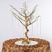 Efavormart 30" Metallic Gold Manzanita Centerpiece Tree for Wedding Banquet Birthday Party Event Tabletop Decorations
