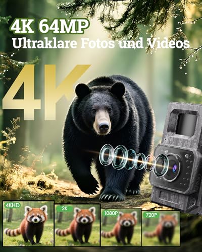 MAXDONE Wildkamera Solar WLAN mit Handyübertragung App - 4K 64MP Wildtierkamera Bluetooth mit Bewegungsmelder Nachtsicht 6000mAh Lithium-Batterie, 32GB SD-Karte, Nachtsichtkamera IP66