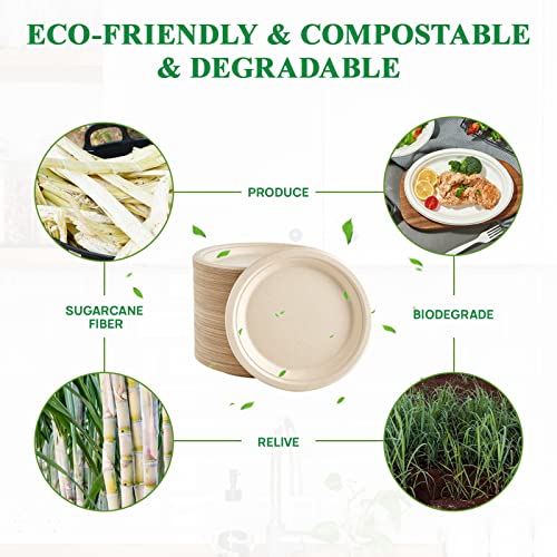 15% Off Vplus 150-Pack Compostable Paper Plates