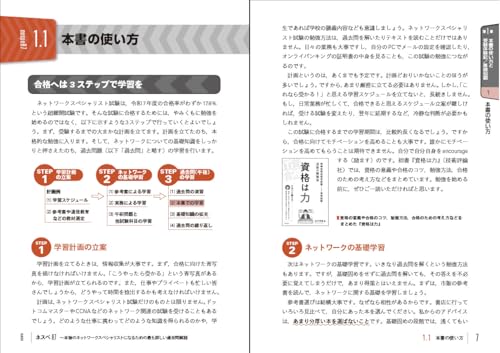 ネスペ　左門先生セット ネスペ 左門先生セット 左門式ネスペ塾]手を動かして理解する ネスペ