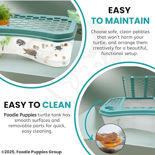 Image of Foodie Puppies Turtle Tank Aquarium - (XL, Honeycomb Tank) (72x42x26cm) with Lid and Ramp | Basking Platform, Swimming Area, breeding, Hibernation Area for Turtle (Color May Vary) (No Accessories)