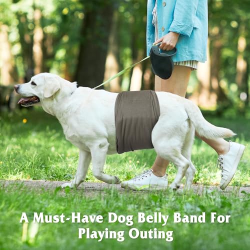 Image of 5 Pack Dog Diapers Male Reusable, Premium Belly Bands for Male Dogs, High Absorbing Male Dog Pee Wraps for Doggie in Incontinence or Excitable Urination and Training,Light Gray,XXL