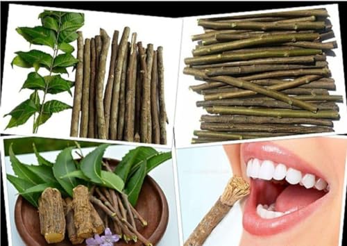 Image of Organic Neem Datun(Moti Datun) Organic Manual Toothbrush Nim Tree Twigs Chew Sticks For Brushing Teeth Removes Bad Breath, Toothpaste (Pack of 10)