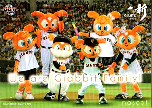 AKB48コラボジャビット 読売ジャイアンツユニホーム2枚 AKB48コラボ