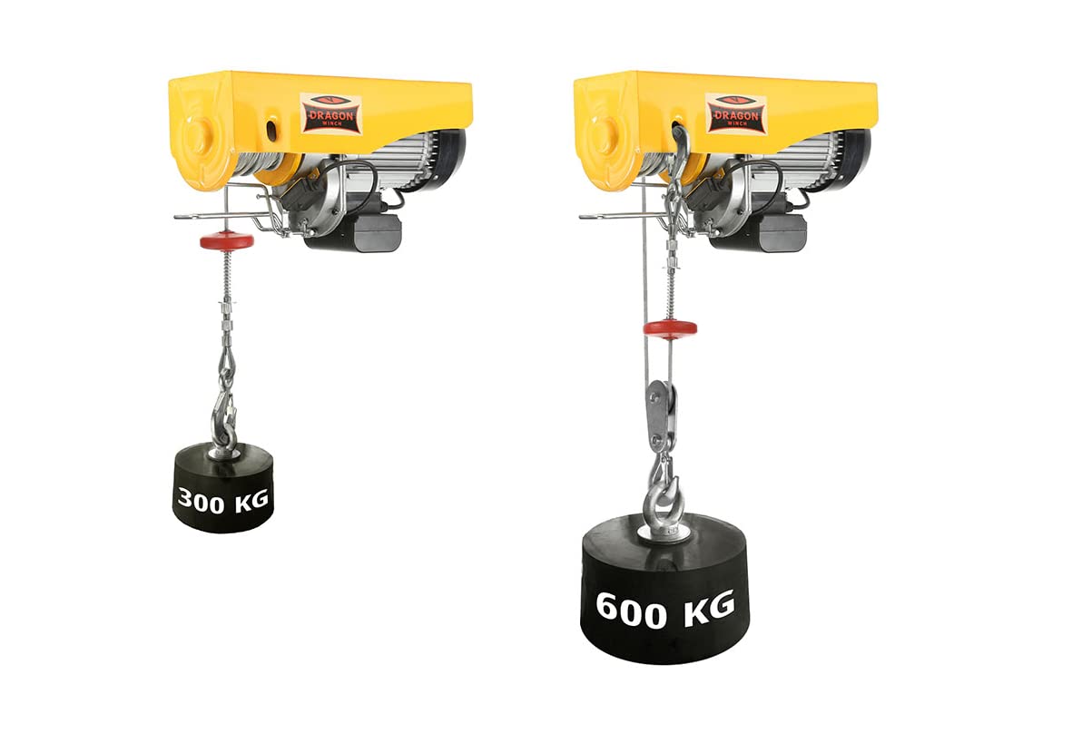 Dragon Winch Polipasto eléctrico 300/600 kg + Carretilla Eléctrica | con altura de elevación 12m/6m con cuerda de acero, freno automático y control remoto para uso en taller, almacén, obra y garaje