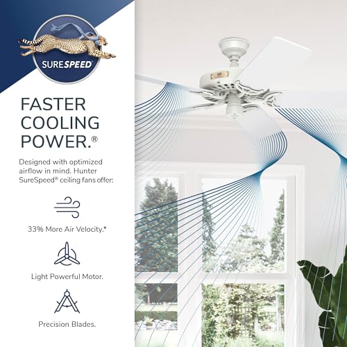Image of Hunter Original, Outdoor or Indoor, Ceiling Fan, No Light, 52 inch, White