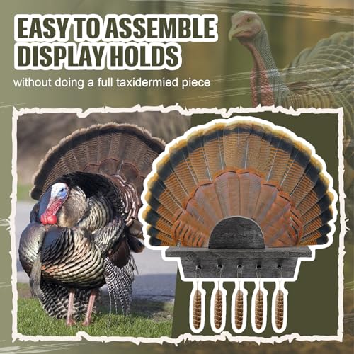 CroBlissful Turkey Fan Mounting Kit for Hanging Tail, Feather, Beard, Wall Mounted Turkey Hunting Tail Display, Durable Easy to Assemble, Trophy Mount , 13.8 Inch(Gray Color,Classic,1 Pack) by CroBlissful - Image 5