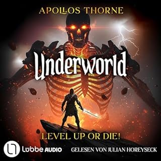 Level up or die! Eine LitRPG-Serie cover art