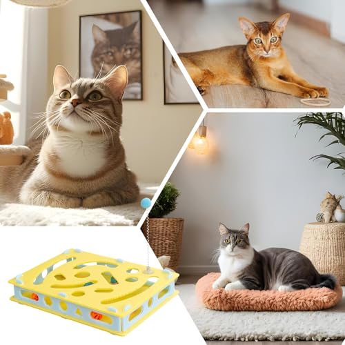Jouets de stimulation mentale pour chat Teksome - Jeu interactif labyrinthe à trous