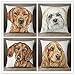 Hund und günstig Kaufen-Fheeao 4er Set Kissenbezug 50x50cm Süßer Hund Dekokissen Kissenbezüge Sofakissen Sanft Kissenhülle Couch Kissen mit verdecktem Reißverschluss Modern Zierkissen kissenhülle für Wohnzimmer Sofa Auto